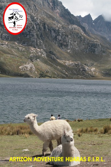 Laguna Querococha - Huaylas Tours